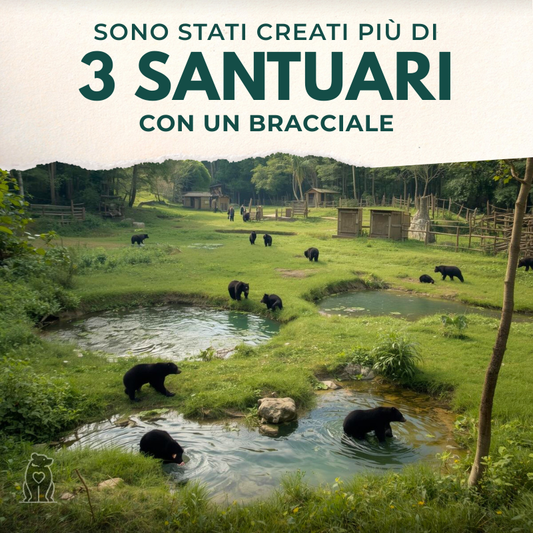 Bracciale "Anh ed Em"