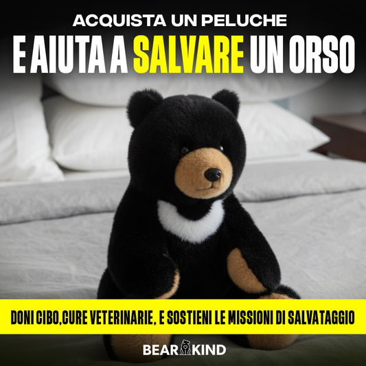 Peluche Trang - "Dona Amore"