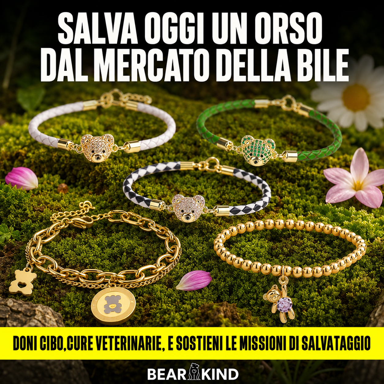Insieme per gli Orsi
