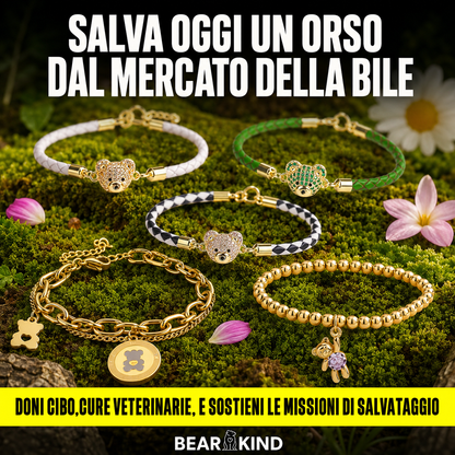 Insieme per gli Orsi