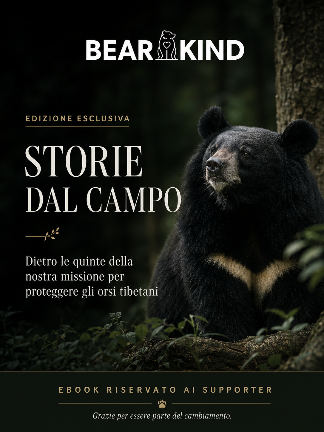 BearKind Supporters