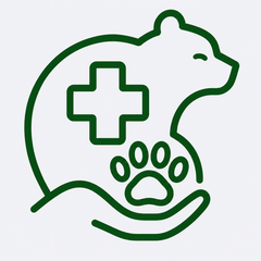 Cure veterinarie e riabilitazione