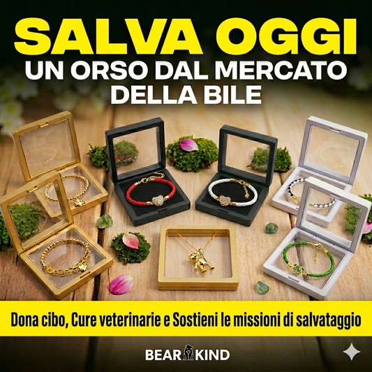 Insieme per gli ORSI – Kit 3 o 5 Bracciali